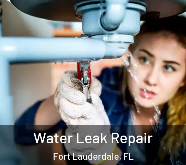  Water Leak Repair Fort Lauderdale, FL